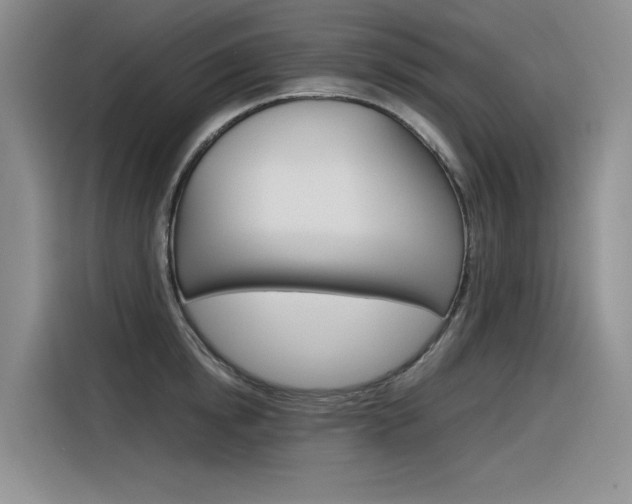 X0000116390854200912021004