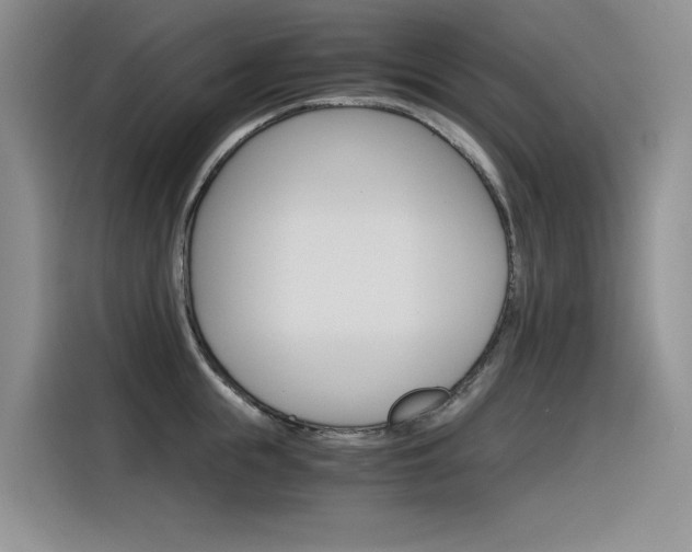 X0000116390855200912021004