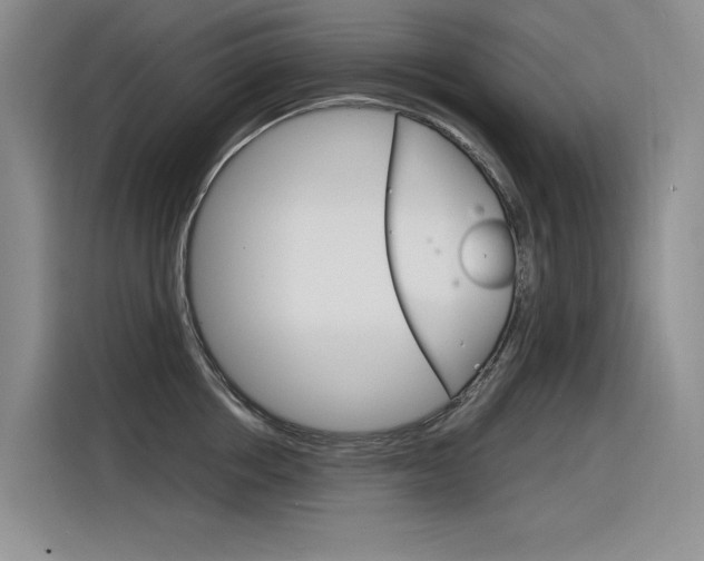 X0000116390858200912021004