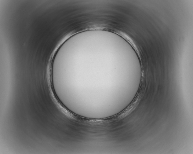 X0000116390859200912021004