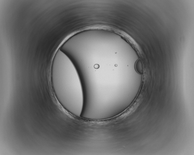 X0000116390860200912021004
