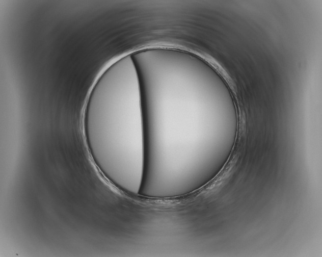 X0000116390862200912021004