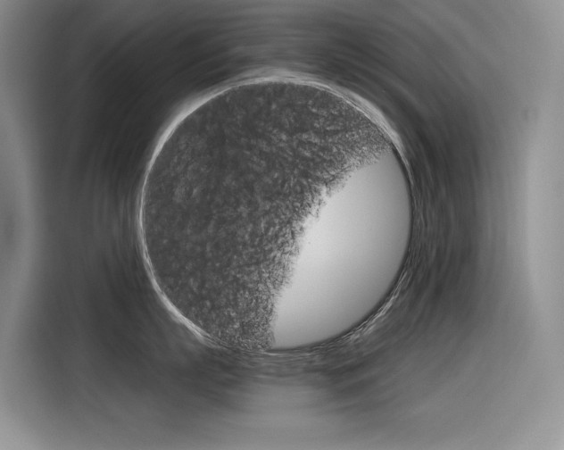 X0000116390863200912021005
