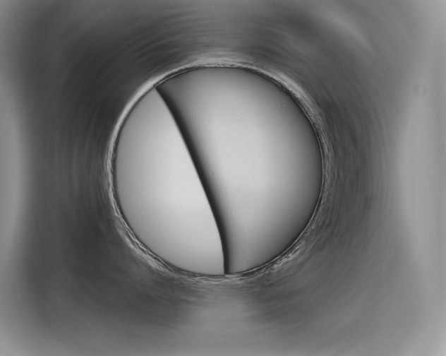 X0000116390864200912021005