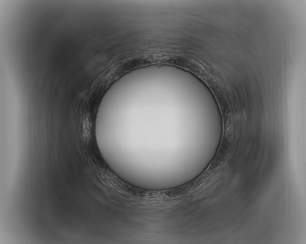 X0000116390866200912021004