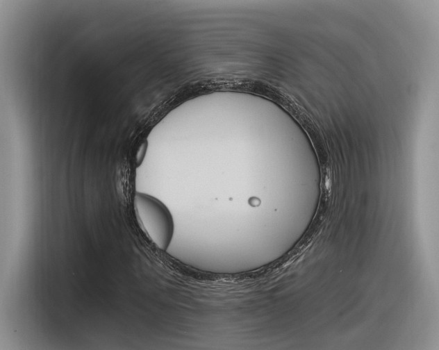 X0000116390867200912021004