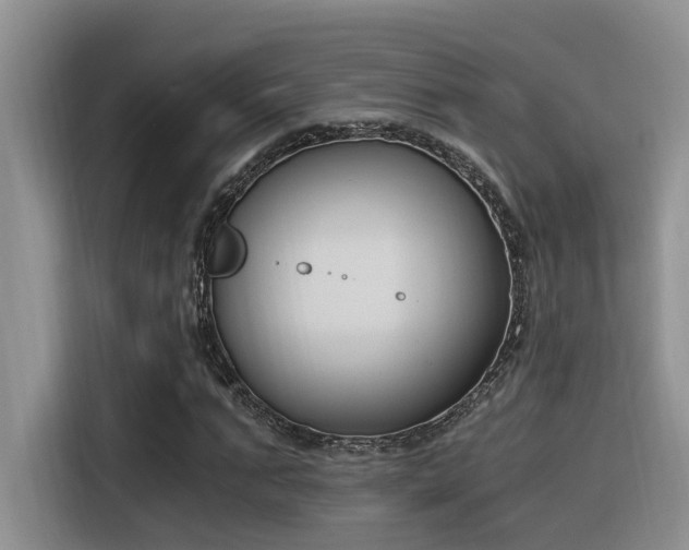 X0000116390871200912021004