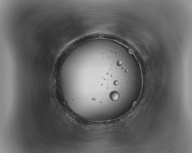 X0000116390872200912021004