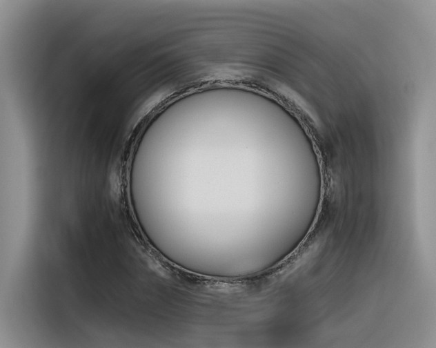 X0000116390874200912021004