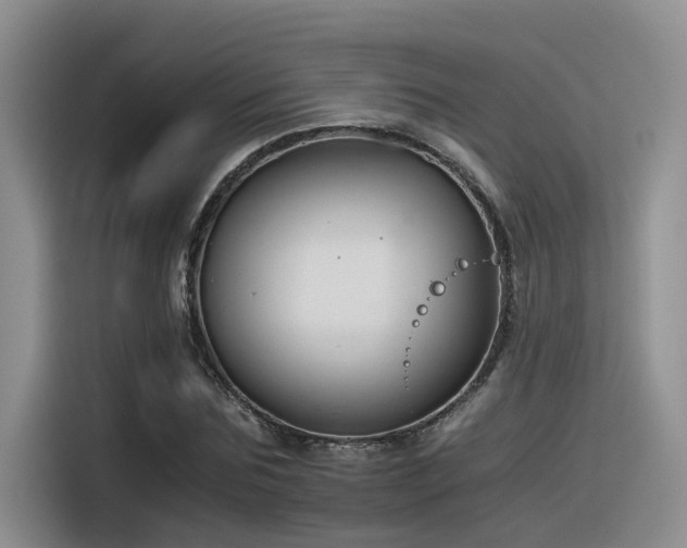 X0000116390875200912021004