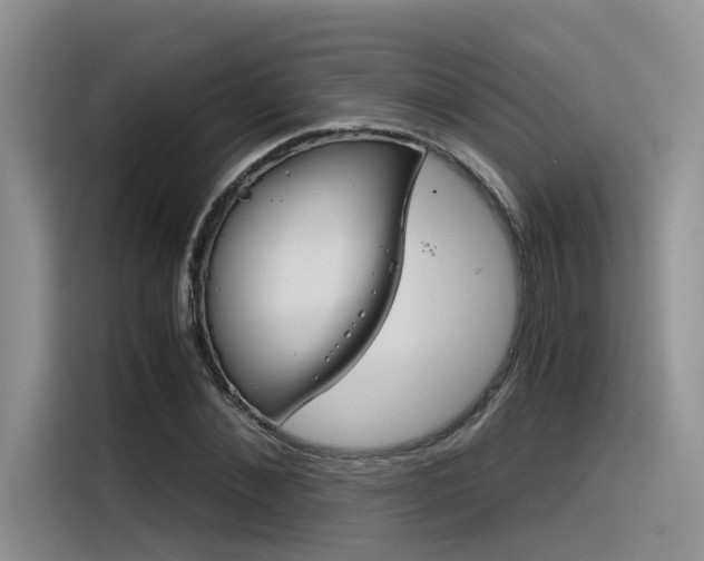 X0000116390876200912021004