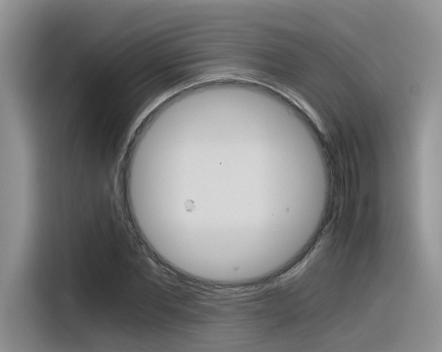 X0000116390877200912021004