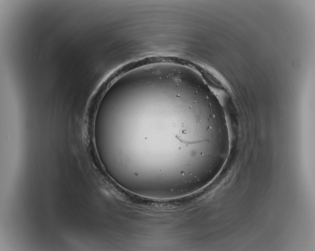 X0000116390878200912021004