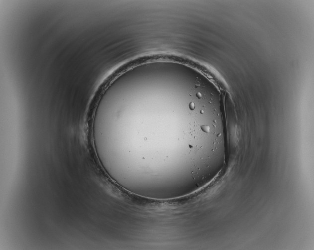 X0000116390879200912021004