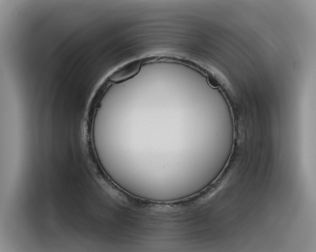 X0000116390880200912021004