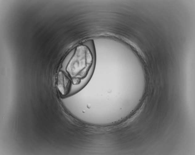 X0000116390881200912021004