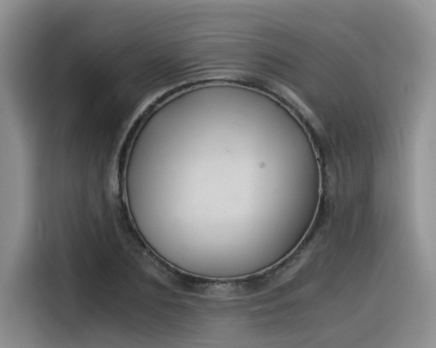 X0000116390883200912021004