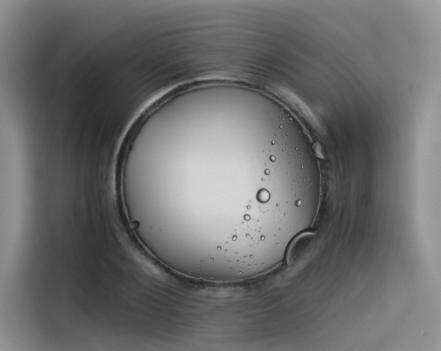 X0000116390884200912021004