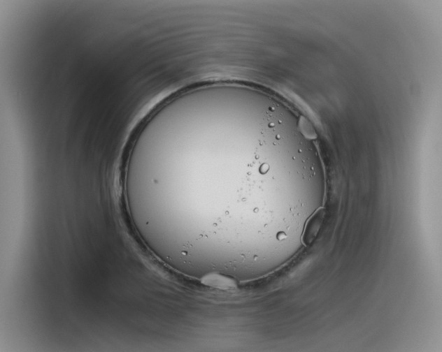 X0000116390885200912021004