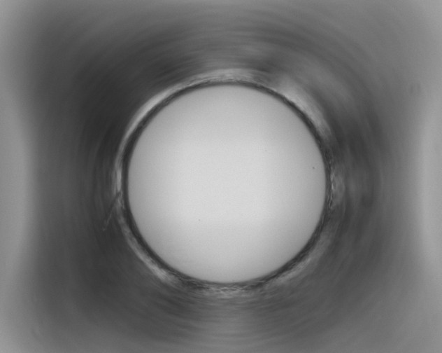 X0000116390886200912021004