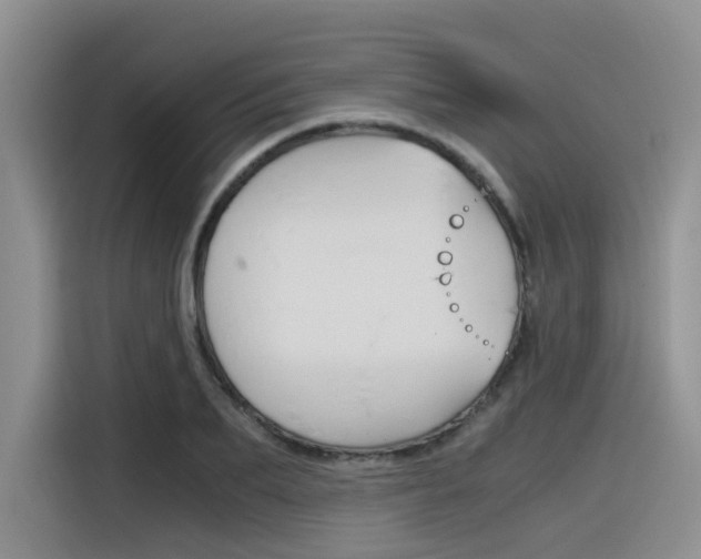 X0000116390887200912021004