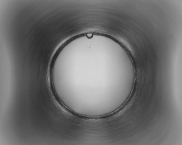 X0000116390888200912021004