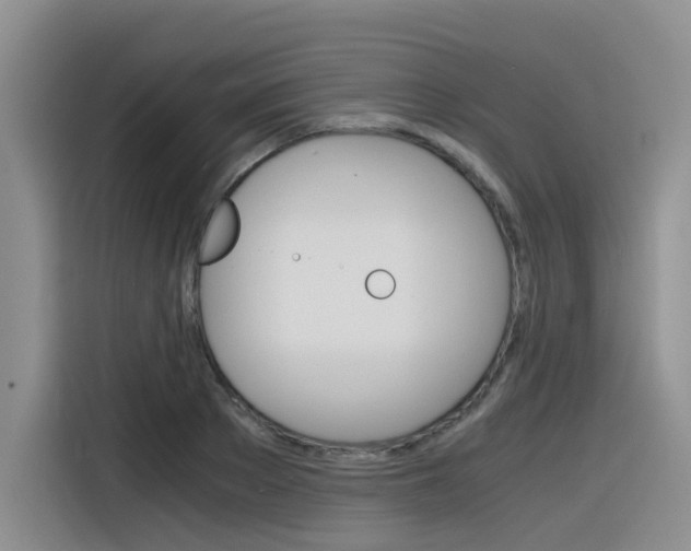 X0000116390889200912021004