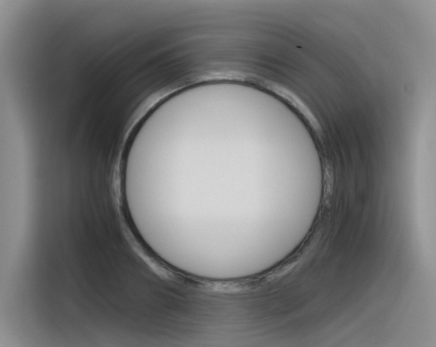 X0000116390890200912021004