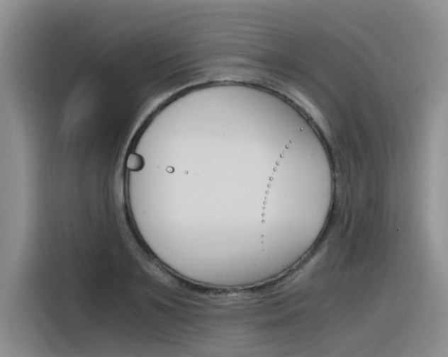 X0000116390891200912021004