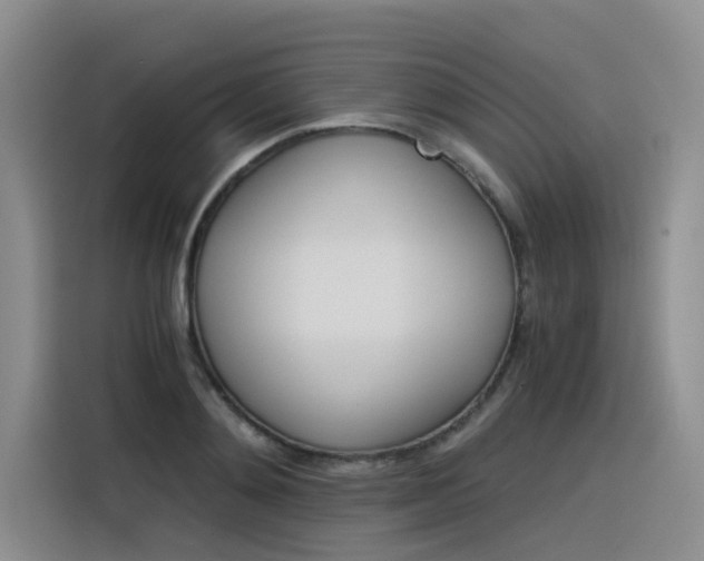 X0000116390892200912021004