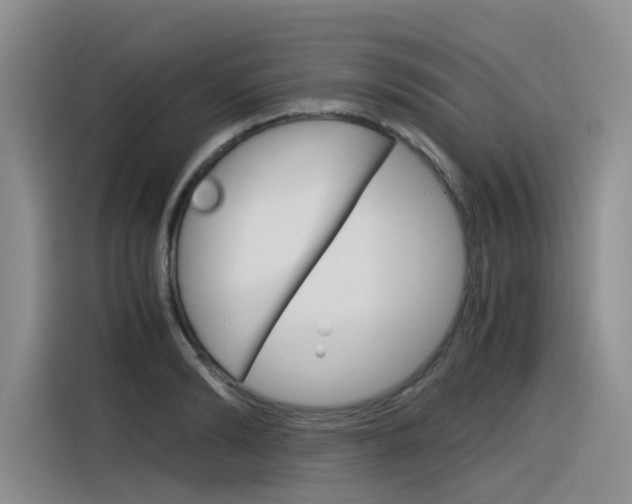 X0000116390894200912021004