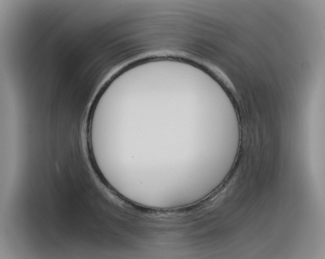 X0000116390895200912021004