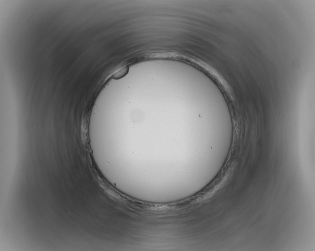 X0000116390897200912021003