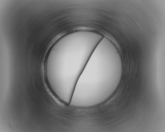 X0000116390898200912021003