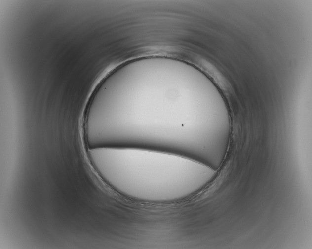 X0000116390899200912021003