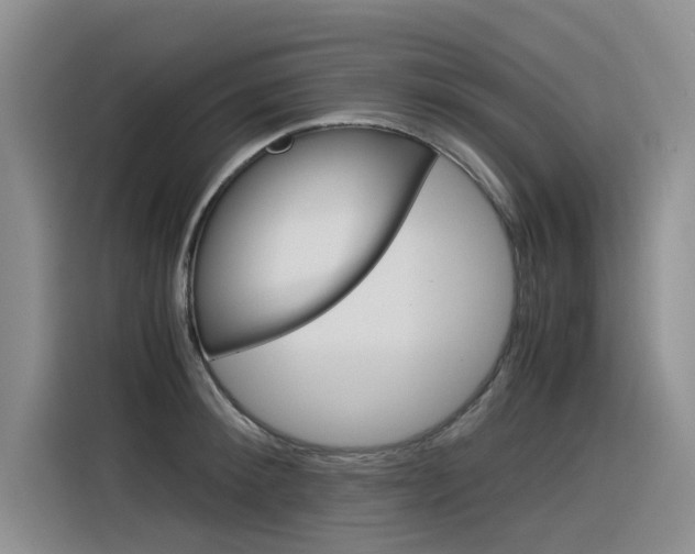 X0000116390900200912021003