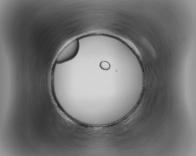 X0000116390903200912021003