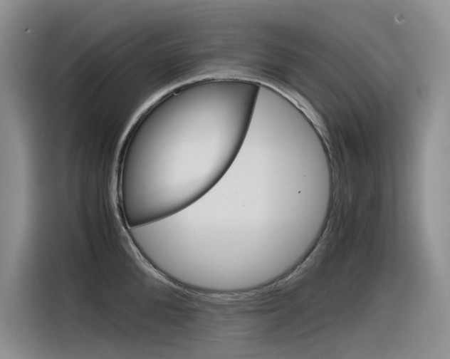 X0000116390904200912021003