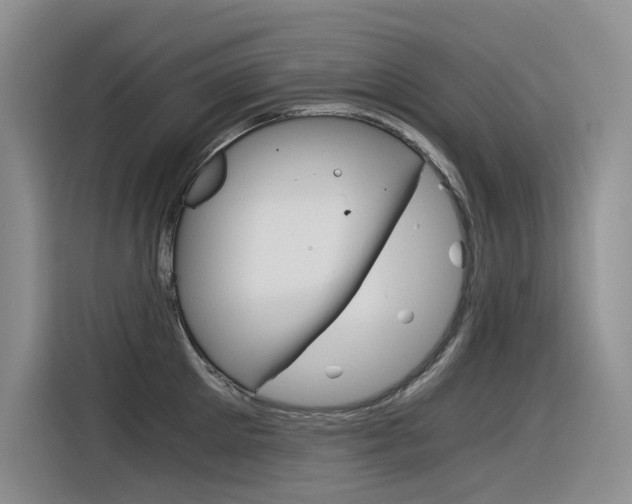 X0000116390905200912021003