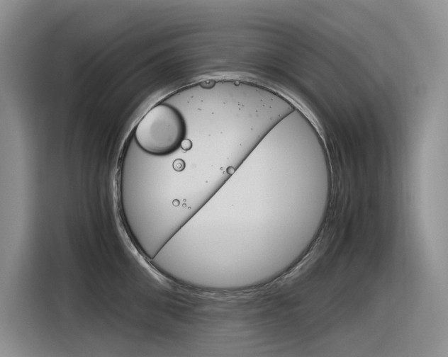 X0000116390906200912021003