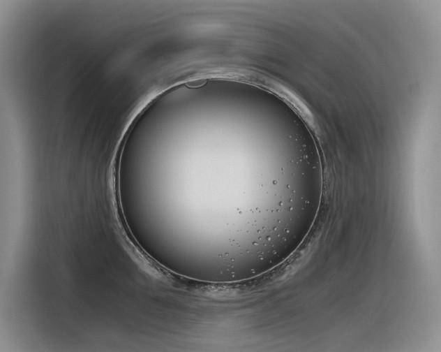 X0000116390907200912021003