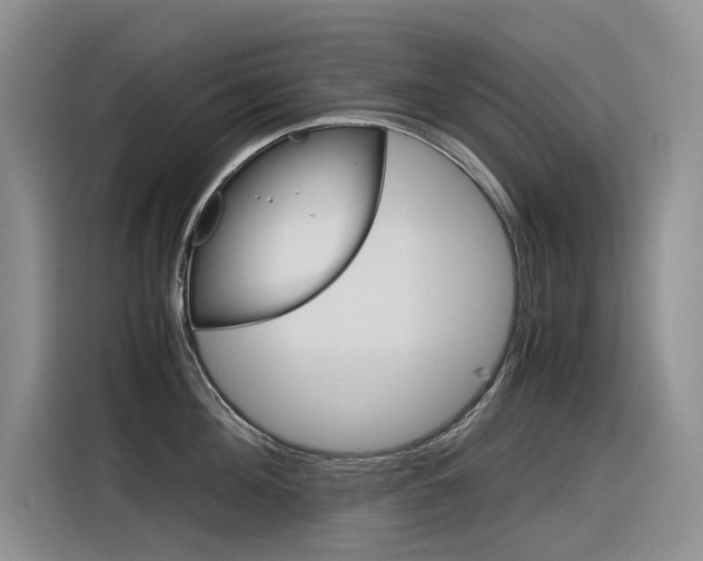 X0000116390908200912021003