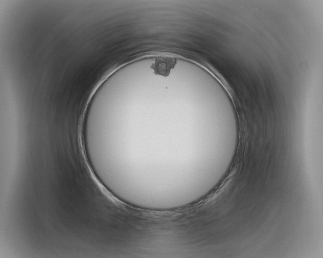 X0000116390909200912021003