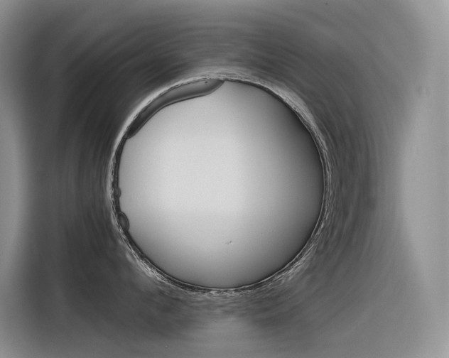 X0000116390912200912021003
