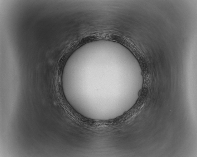 X0000116390913200912021003