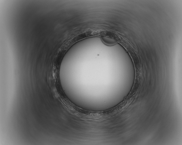 X0000116390914200912021003