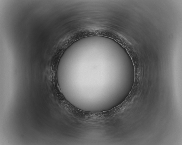 X0000116390917200912021003