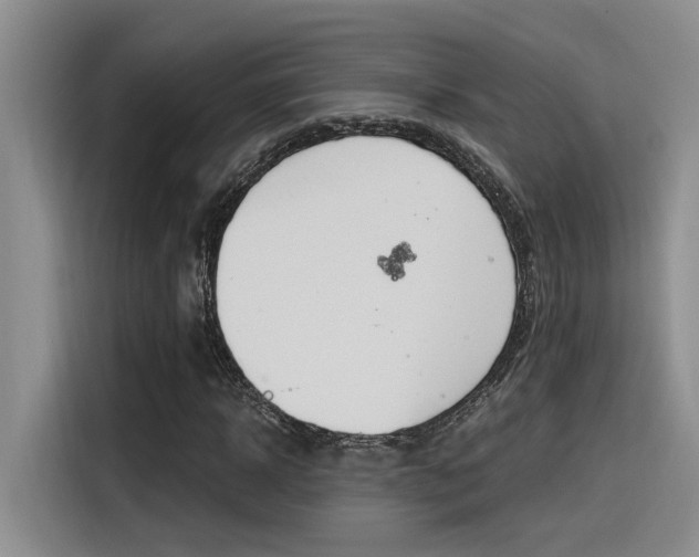 X0000116390918200912021003
