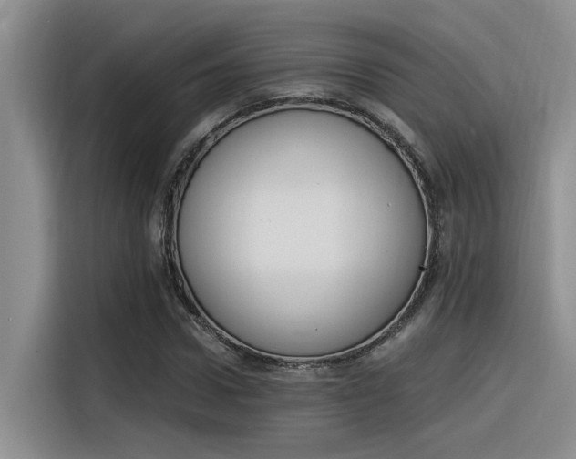 X0000116390922200912021003