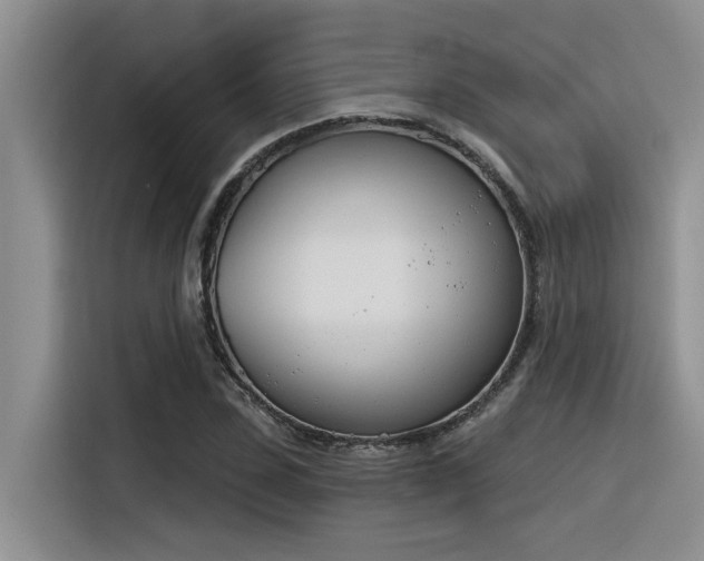 X0000116390923200912021003